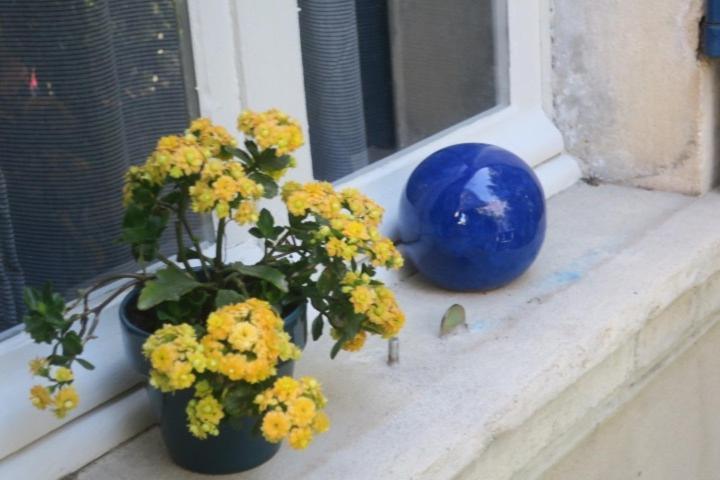 Tombe La Nefle Bed & Breakfast Avinyon Dış mekan fotoğraf